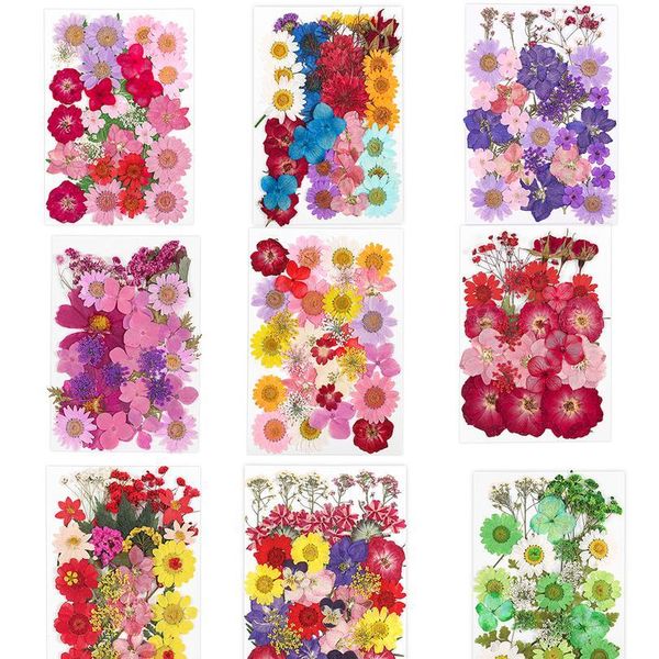 pressed real flowers for candle nail art decals small dried flowers scrapbooking dry flower decoration home resin mold qylrvf
pressed real flowers for candle nail art decals small dried flowers scrapbooking dry flower decoration home resin mold qylrvf