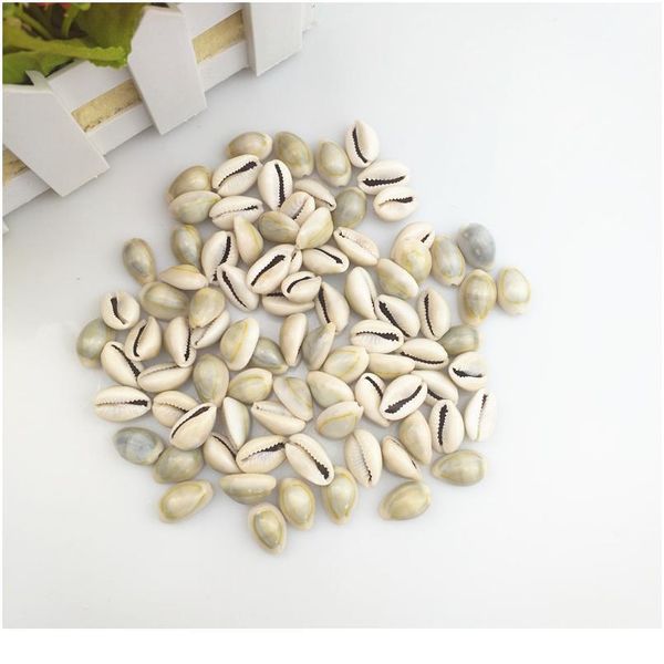 happykiss 500g gray natural sea shells loose beads accessories diy conch ornament home fish tank decor phnom pe jllyuh
happykiss 500g gray natural sea shells loose beads accessories diy conch ornament home fish tank decor phnom pe jllyuh