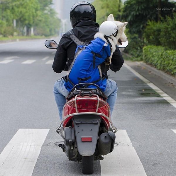 shopping pet backpack adjustable mesh outdoor travel waterproof lining riding washable hiking supplies carrier bag puppy dog cat1
shopping pet backpack adjustable mesh outdoor travel waterproof lining riding washable hiking supplies carrier bag puppy dog cat1