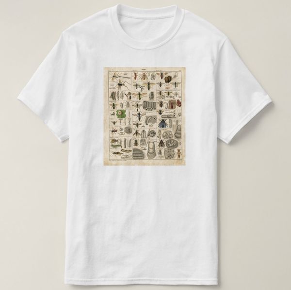 printed men t shirt short sleeve vintage insects entomology taxonomy t-shirt tshirt sport hooded sweatshirt hoodie
printed men t shirt short sleeve vintage insects entomology taxonomy t-shirt tshirt sport hooded sweatshirt hoodie