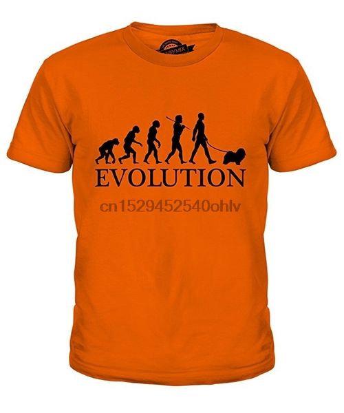 havanese evolution of man t shirt t-shirt for s short sleeve t shirt summer sport hooded sweatshirt hoodie
havanese evolution of man t shirt t-shirt for s short sleeve t shirt summer sport hooded sweatshirt hoodie