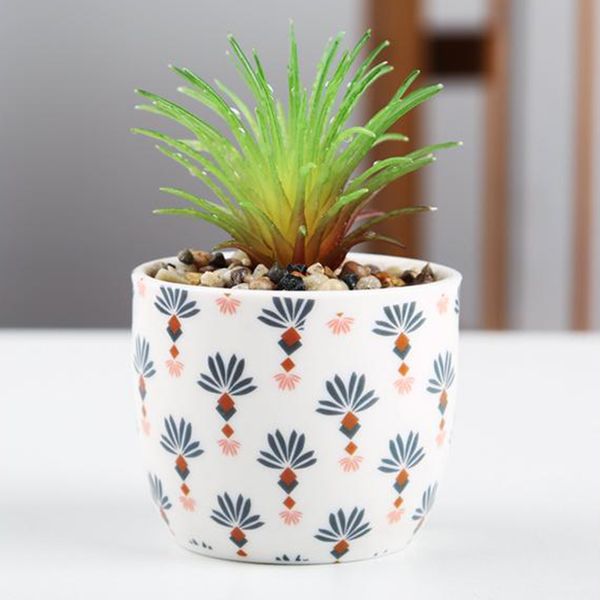 искусственный сочные поддельные растения горшечные для домашнего офиса decor
искусственный сочные поддельные растения горшечные для домашнего офиса decor