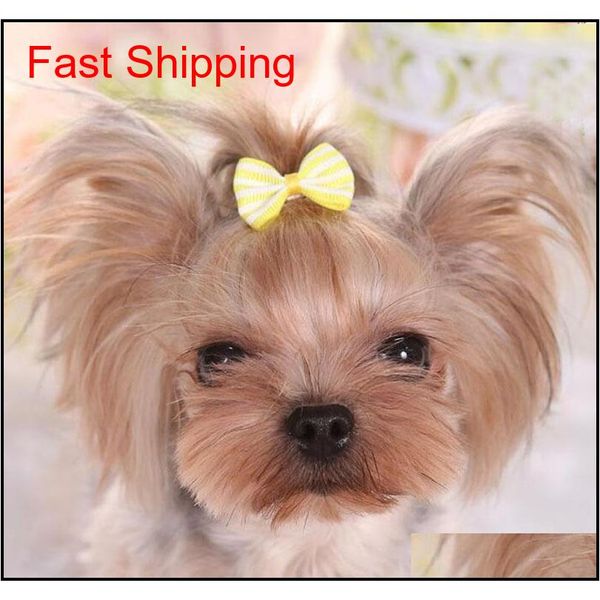 lovely handmade designer dog hair bows clip cat puppy grooming bows for hair accessorie qylyxz bdenet
lovely handmade designer dog hair bows clip cat puppy grooming bows for hair accessorie qylyxz bdenet