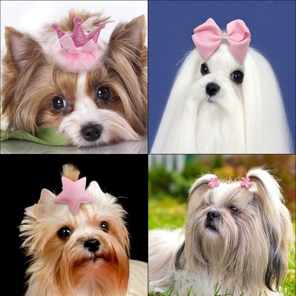 9pcs cute baby girl pet bow clips princess crown heart rabbit star flower shape hair bows accessories dog cat headwear y wmtqif
9pcs cute baby girl pet bow clips princess crown heart rabbit star flower shape hair bows accessories dog cat headwear y wmtqif