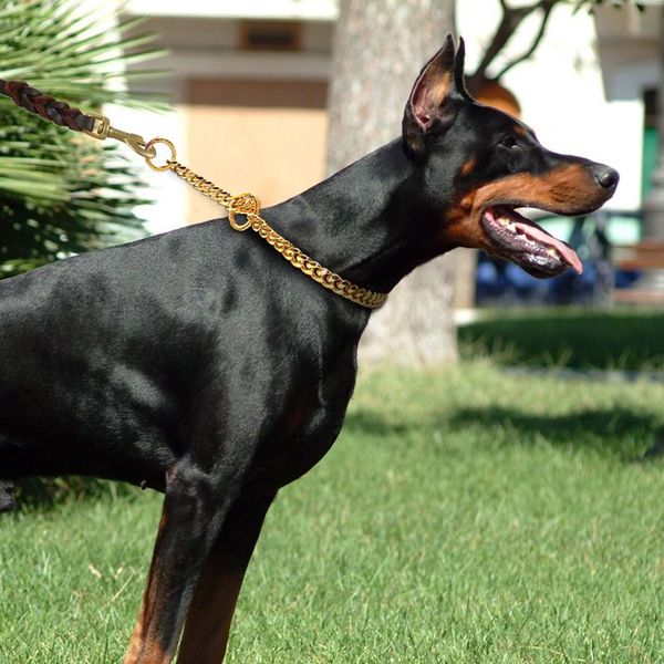 4mm metal pet dog chain collar stainless steel training choke slip collars leash for medium large dogs pitbull pug bull wmtsxk
4mm metal pet dog chain collar stainless steel training choke slip collars leash for medium large dogs pitbull pug bull wmtsxk