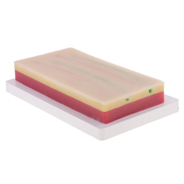 simulation 3 layers human skin suture pad training model repeated practice kit lab supplies science anatomical toy
simulation 3 layers human skin suture pad training model repeated practice kit lab supplies science anatomical toy