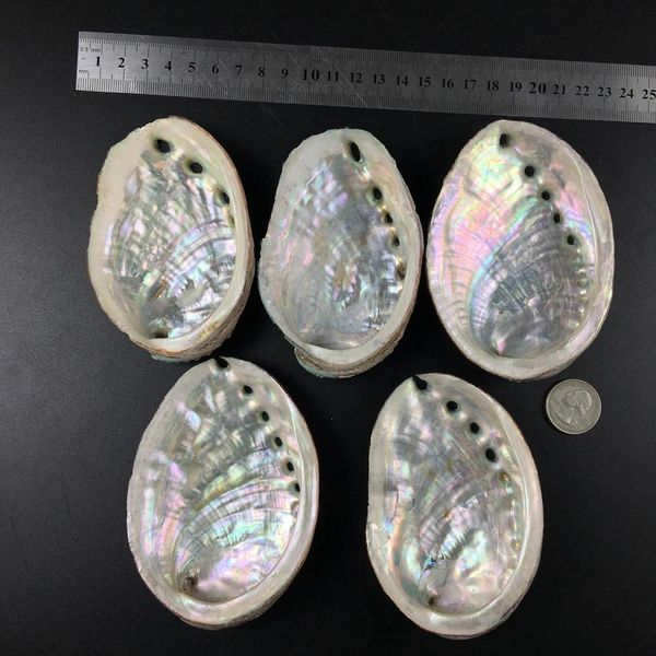 5 размеры abalone shell nautical decor seashell beach свадебные раковины океанский декор ювелирные изделия diy shell soap blue aquarium home
5 размеры abalone shell nautical decor seashell beach свадебные раковины океанский декор ювелирные изделия diy shell soap blue aquarium home