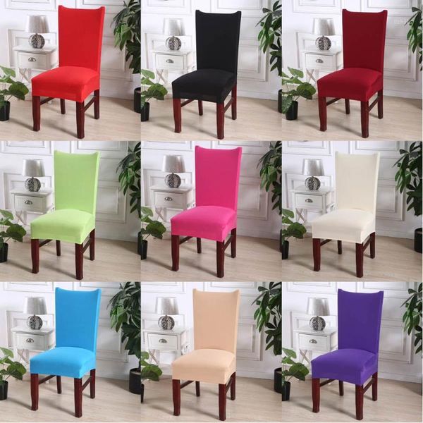 2019 fresh brief beige color chair cover slipcover sofa spandex/polyester fabric stretch elastic multifunctional chair banquet1
2019 fresh brief beige color chair cover slipcover sofa spandex/polyester fabric stretch elastic multifunctional chair banquet1