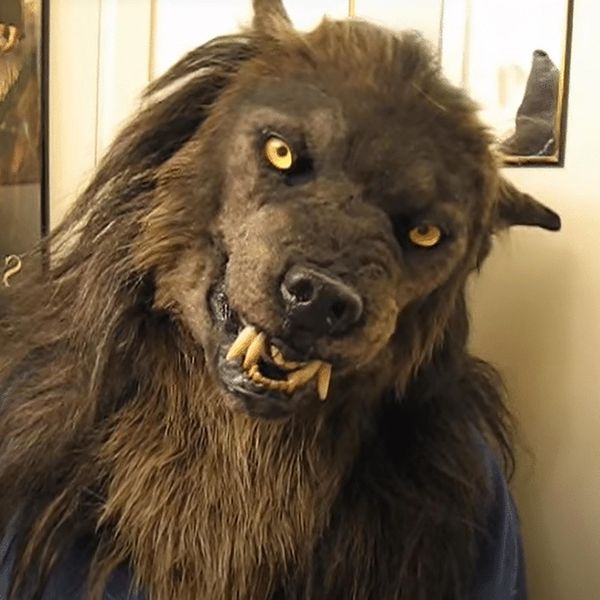 costume werewolf headwear wolf mask halloween christmas cosplay masks mascarilla masque 2020
costume werewolf headwear wolf mask halloween christmas cosplay masks mascarilla masque 2020