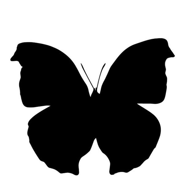 15.4cm*12.9cm butterfly decoration pattern car sticker bumper vinyl decal black/silver c4-2811
15.4cm*12.9cm butterfly decoration pattern car sticker bumper vinyl decal black/silver c4-2811
