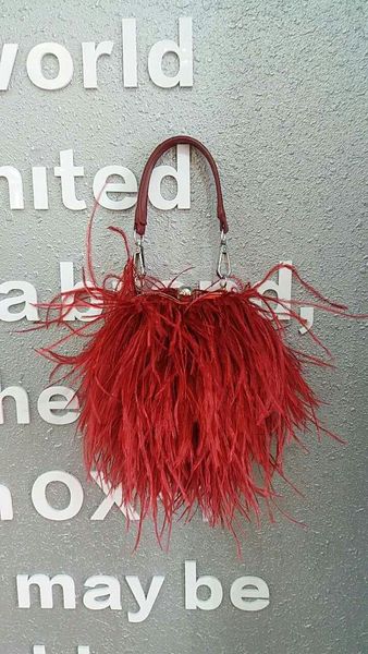 new pearl ostrich feather banquet pack handbag in spring and summer of 2020 feather evening bag
new pearl ostrich feather banquet pack handbag in spring and summer of 2020 feather evening bag