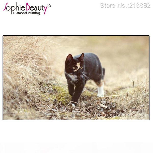 2018 real new arrival diamond painting rhinestone craft wilderness cute black cat diy embroidery cross stitch needlework picture
2018 real new arrival diamond painting rhinestone craft wilderness cute black cat diy embroidery cross stitch needlework picture