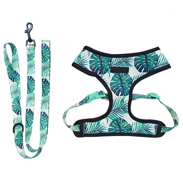 breathable pet harness and leash set small dogs vest adjustable pets outdoor walking training wholesale1
breathable pet harness and leash set small dogs vest adjustable pets outdoor walking training wholesale1
