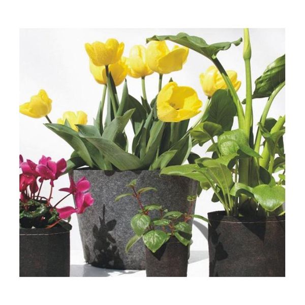 wholesale round non-woven fabric plant pots pouch root container grow bag aeration flower pots containe jlljdv trustbde
wholesale round non-woven fabric plant pots pouch root container grow bag aeration flower pots containe jlljdv trustbde