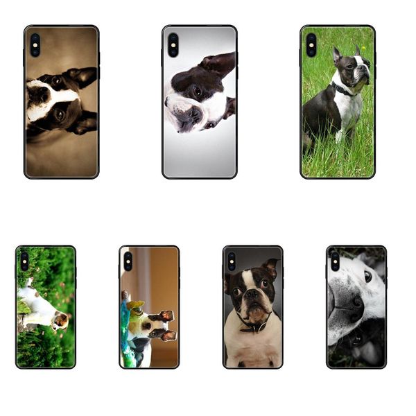 phone cover for iphone 11 12 pro 5 5s se 5c 6 6s 7 8 x 10 xr xs plus max boston terrier pet dog puppy
phone cover for iphone 11 12 pro 5 5s se 5c 6 6s 7 8 x 10 xr xs plus max boston terrier pet dog puppy