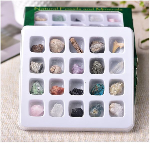 1set natural rock mineral specimen irregularity raw crystals souvenir mini mineral stone collection ornament gifts for qylfzt, Black
1set natural rock mineral specimen irregularity raw crystals souvenir mini mineral stone collection ornament gifts for qylfzt, Black