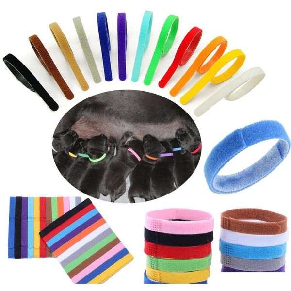 puppy id collar identification id collars band for whelp puppy kitten dog pet cat velvet practical 12 colors 4sab8
puppy id collar identification id collars band for whelp puppy kitten dog pet cat velvet practical 12 colors 4sab8