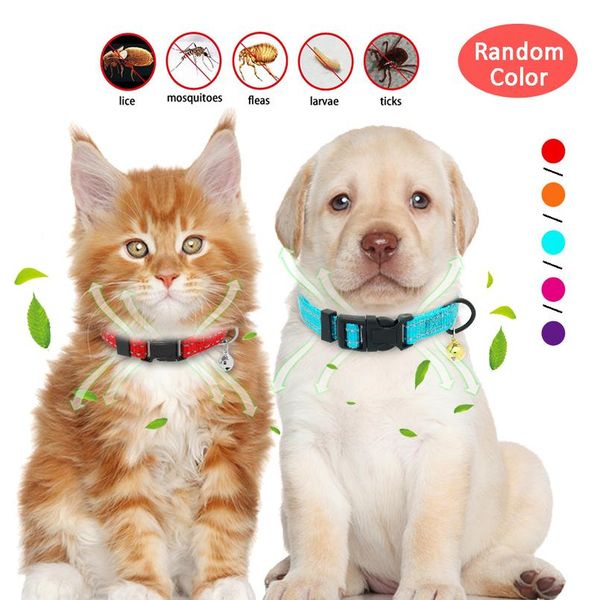 reflective nylon dog anti flea tick collar effective against mosquitoe lice mite collars neck strap long protection from wmtpbr
reflective nylon dog anti flea tick collar effective against mosquitoe lice mite collars neck strap long protection from wmtpbr