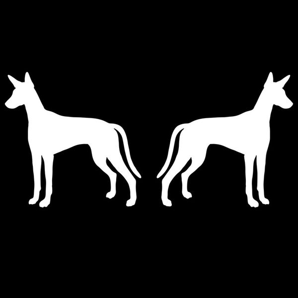 interesting cartoon 1pair hound dog (left right) personality animal vinyl decals black/white,13cm*6cm
interesting cartoon 1pair hound dog (left right) personality animal vinyl decals black/white,13cm*6cm