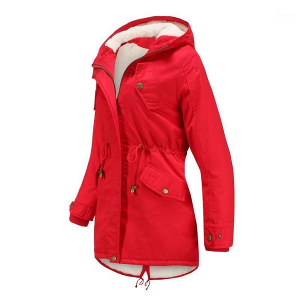 autumn and winter new women's cotton padded clothes women's solid color hooded drawstring waistband thickened cotton padded1, Black
autumn and winter new women's cotton padded clothes women's solid color hooded drawstring waistband thickened cotton padded1, Black