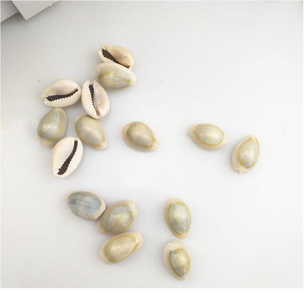 happykiss 500g gray natural sea shells loose beads accessories diy conch ornament home fish tank decor phnom pe jllwer
happykiss 500g gray natural sea shells loose beads accessories diy conch ornament home fish tank decor phnom pe jllwer