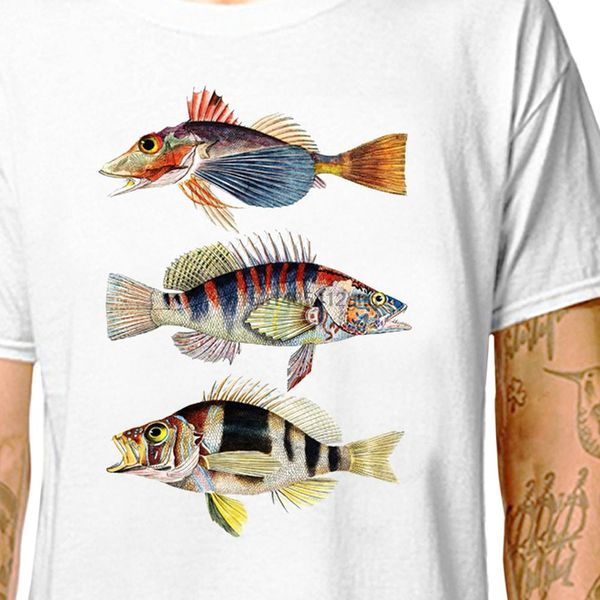three fish in synchronisation lazycarrot angler angling fishing animal lover aquarium tropical sea extinct hoodie designers t shirts 
three fish in synchronisation lazycarrot angler angling fishing animal lover aquarium tropical sea extinct hoodie designers t shirts