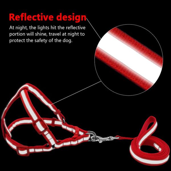 7 colors nylon reflective dog harness leash lead set for small medium dogs puppy chihuahua yo bbypmy
7 colors nylon reflective dog harness leash lead set for small medium dogs puppy chihuahua yo bbypmy