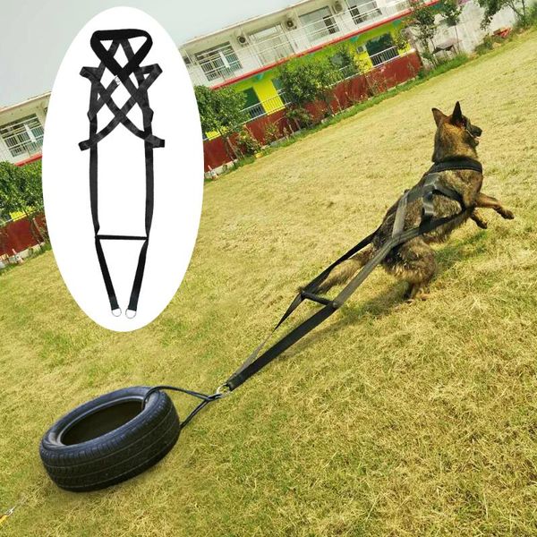 dog toys & chews training product supplier k9 treats trainer pet accessories adjustable for medium large dogs german shepherd
dog toys & chews training product supplier k9 treats trainer pet accessories adjustable for medium large dogs german shepherd