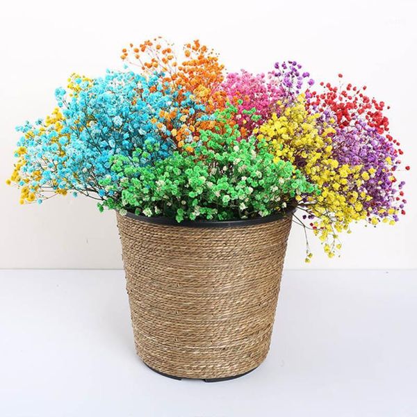 100-120g diy gypsophila flower babybreath flower bouquet wedding party decorations natural dried flowers pgraphy props1
100-120g diy gypsophila flower babybreath flower bouquet wedding party decorations natural dried flowers pgraphy props1
