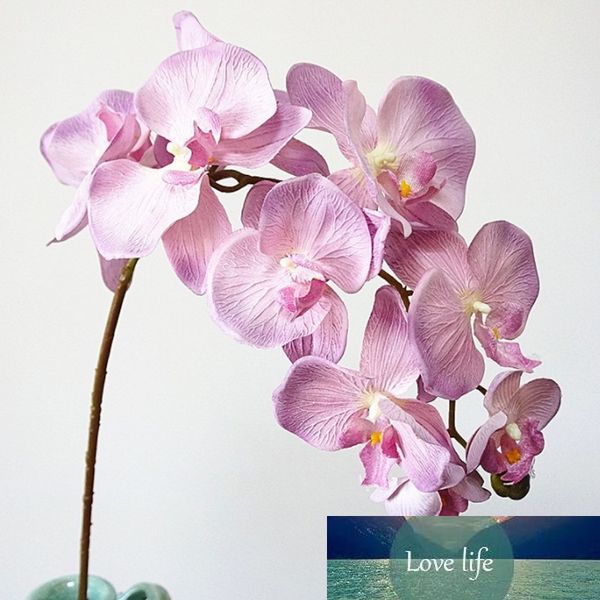 10heads big artificial orchid flowers european retro style moth butterfly orchids home wedding party decoration fake silk flores
10heads big artificial orchid flowers european retro style moth butterfly orchids home wedding party decoration fake silk flores
