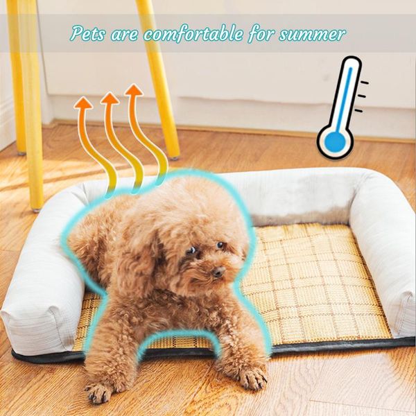 охладить кровать собаки коврики для собак pet house кровати puppy большой питомник для собак мат охлаждения матс puppy cat summer house bed
охладить кровать собаки коврики для собак pet house кровати puppy большой питомник для собак мат охлаждения матс puppy cat summer house bed