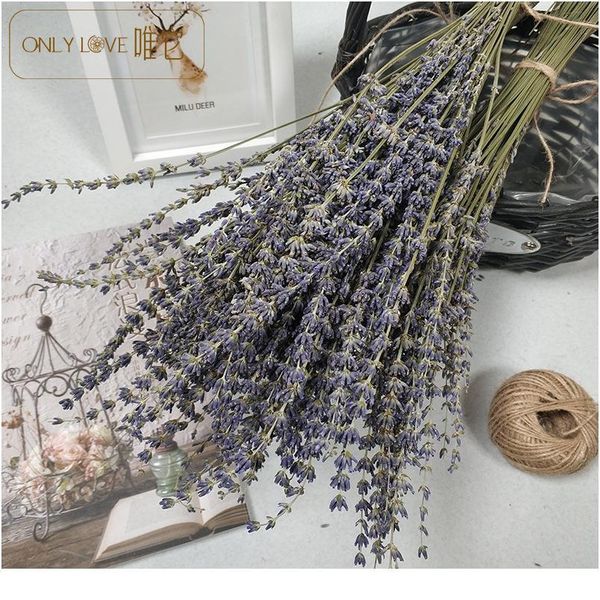 80pcs lavender natural dried flower bouquet for wedding party decoration diy craft home decor scrapbook lavender bran jllpsx
80pcs lavender natural dried flower bouquet for wedding party decoration diy craft home decor scrapbook lavender bran jllpsx