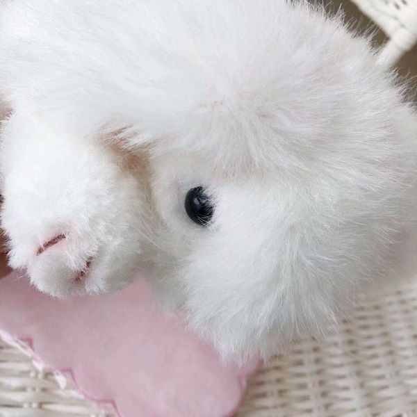 26cm plush rabbit toy simulation animal rabbit soft doll lifelike rabbit plush kids toys birthday gift for children jllxno mx_home
26cm plush rabbit toy simulation animal rabbit soft doll lifelike rabbit plush kids toys birthday gift for children jllxno mx_home