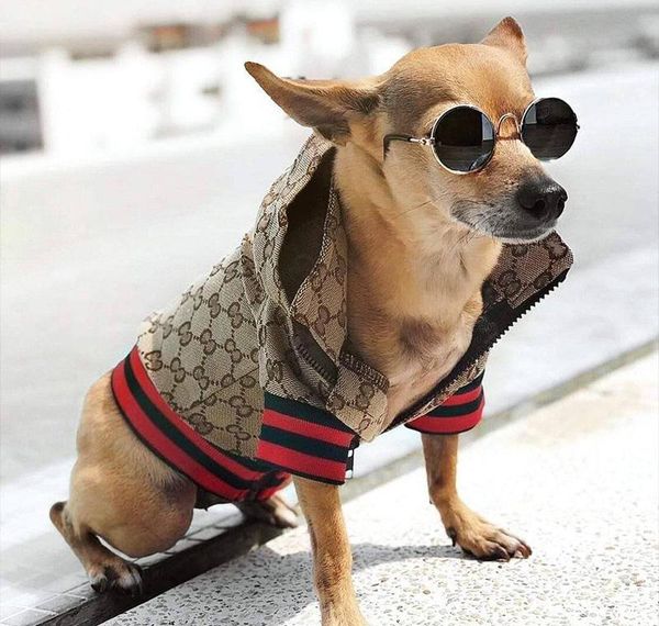 luxury dog winter fashion dog jacket classic designer pet clothes coat french bulldog teddy chihuahua pug puppy clothes 201026 bbydhjb
luxury dog winter fashion dog jacket classic designer pet clothes coat french bulldog teddy chihuahua pug puppy clothes 201026 bbydhjb