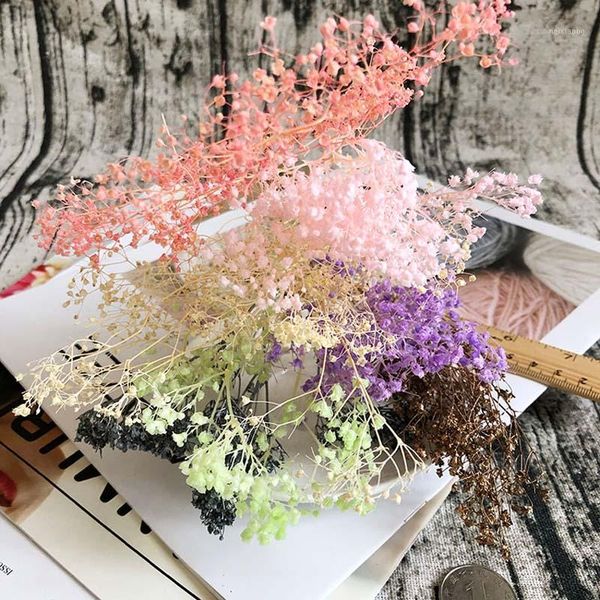 decorative flowers & wreaths 4g babysbreath natural fresh dried preserved flowers,real baby breath for diy eternal life material,home decor1
decorative flowers & wreaths 4g babysbreath natural fresh dried preserved flowers,real baby breath for diy eternal life material,home decor1