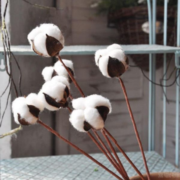 decorative flowers & wreaths 1 pcs artificial cotton flower simulation white holy poetic style wedding decoration for home party office
decorative flowers & wreaths 1 pcs artificial cotton flower simulation white holy poetic style wedding decoration for home party office
