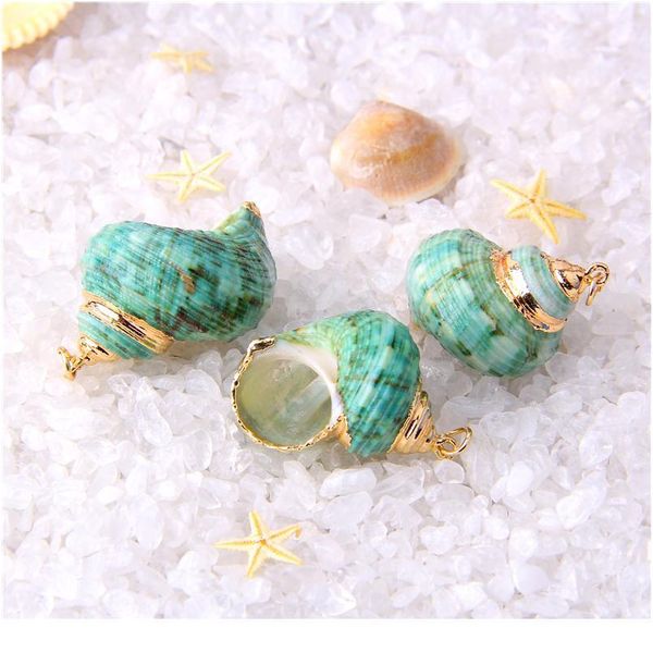 26*16-33*22 mm 5 pcs natural spiral shell charm pendants conch at random gold for jewelry making diy necklace bracelet jlledu, Black
26*16-33*22 mm 5 pcs natural spiral shell charm pendants conch at random gold for jewelry making diy necklace bracelet jlledu, Black