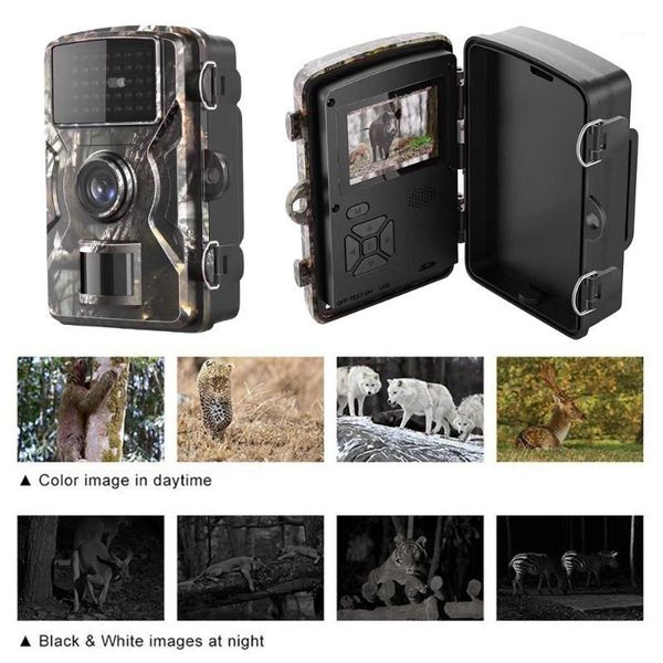 waterproof wildlife camera cam take p outdoor ip66 ir night vision 1080p hd 12mp observing animals recording video hunting1
waterproof wildlife camera cam take p outdoor ip66 ir night vision 1080p hd 12mp observing animals recording video hunting1