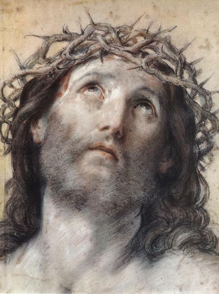 jesus christ & crown of thorns only home decor handpainted &hd print oil painting on canvas wall art canvas pictures , f2012018
jesus christ & crown of thorns only home decor handpainted &hd print oil painting on canvas wall art canvas pictures , f2012018