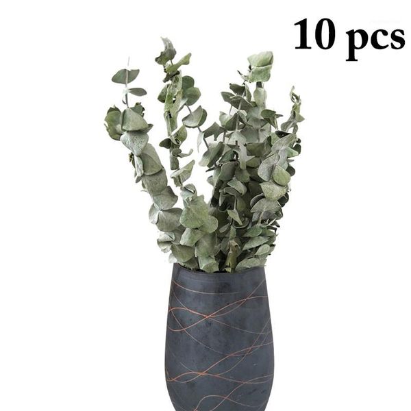 decorative flowers & wreaths 10pcs bunch plant branches fashion dried eucalyptus leaves leaf for home wedding decoration indoor1
decorative flowers & wreaths 10pcs bunch plant branches fashion dried eucalyptus leaves leaf for home wedding decoration indoor1