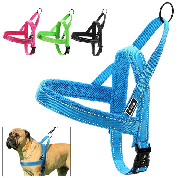zipper quick adjustment harness type vest reflective net small and medium sized dog adjustable xxs xs sm l
zipper quick adjustment harness type vest reflective net small and medium sized dog adjustable xxs xs sm l