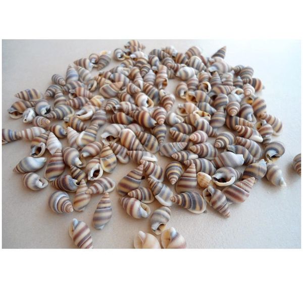 happykiss 100pcs natural ornament conch shells cat's eye screw diy mediterranean home decoration aquariu qylqvr
happykiss 100pcs natural ornament conch shells cat's eye screw diy mediterranean home decoration aquariu qylqvr