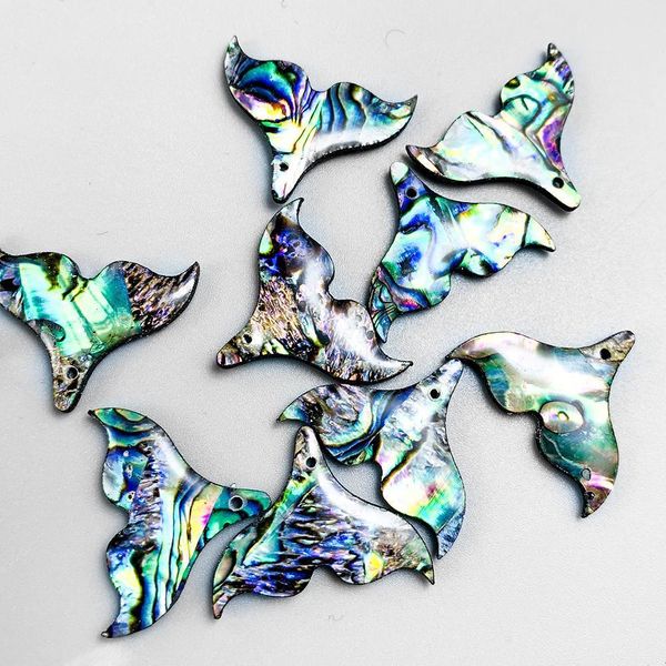 5pcs natural abalone shell fish tail pendants charms mother of pearl shell for diy jewelry making 2520mm fishtail shell gifts h jlliiu
5pcs natural abalone shell fish tail pendants charms mother of pearl shell for diy jewelry making 2520mm fishtail shell gifts h jlliiu