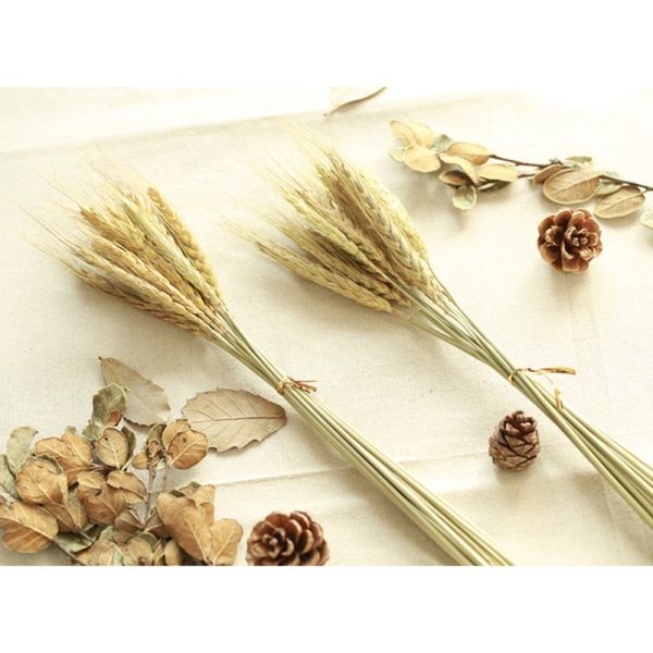 flower plastic branches wheat rice artificial flowe home shop garden wedding party decor pgraphy props accessories
flower plastic branches wheat rice artificial flowe home shop garden wedding party decor pgraphy props accessories