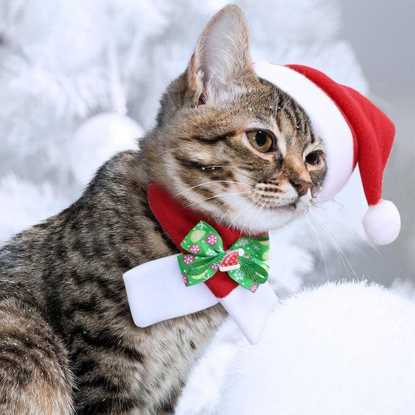 christmas dog cat hat scarf set pet accessories for small dogs cats winter warm costume cap cute dog bow tie necktie jllhfx
christmas dog cat hat scarf set pet accessories for small dogs cats winter warm costume cap cute dog bow tie necktie jllhfx