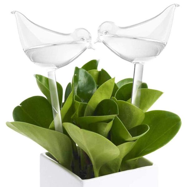 house/garden water houseplant plant pot little bird matic self watering device gardening tools and equipment plant bbyzsa
house/garden water houseplant plant pot little bird matic self watering device gardening tools and equipment plant bbyzsa