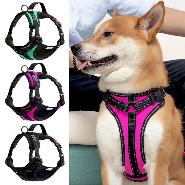 belt without adjustable nylon zipper, large and medium pet vest, dog chest reflective belt, outdoor walking training
belt without adjustable nylon zipper, large and medium pet vest, dog chest reflective belt, outdoor walking training