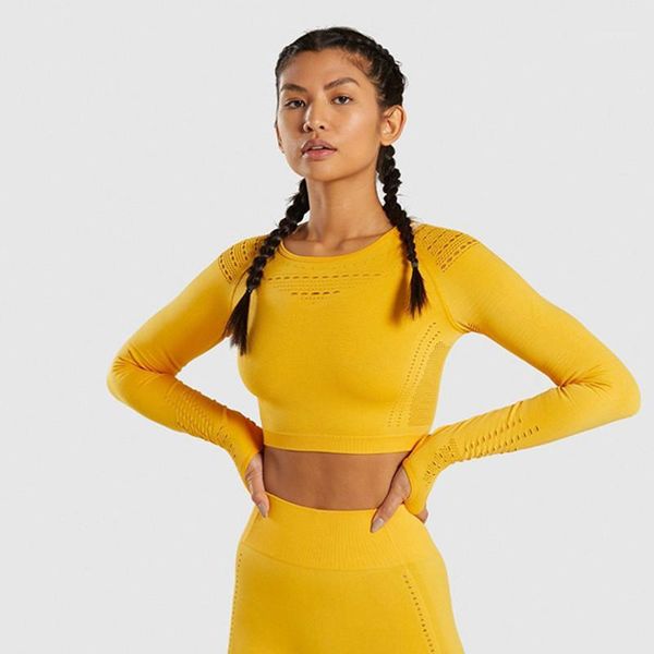yoga outfits women's hollow-out sports long-sleeved fitness running clothes tight exposed belly breathable t-shirt1, White;red
yoga outfits women's hollow-out sports long-sleeved fitness running clothes tight exposed belly breathable t-shirt1, White;red