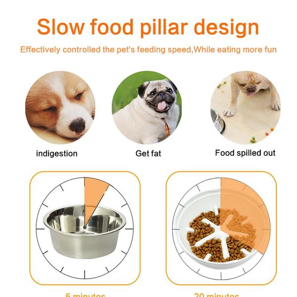 2020 dog bowl pet dog feeding food bowl slow feeder dish for dogs feeding dish small large dogs bowl accessories prevent qylfky
2020 dog bowl pet dog feeding food bowl slow feeder dish for dogs feeding dish small large dogs bowl accessories prevent qylfky
