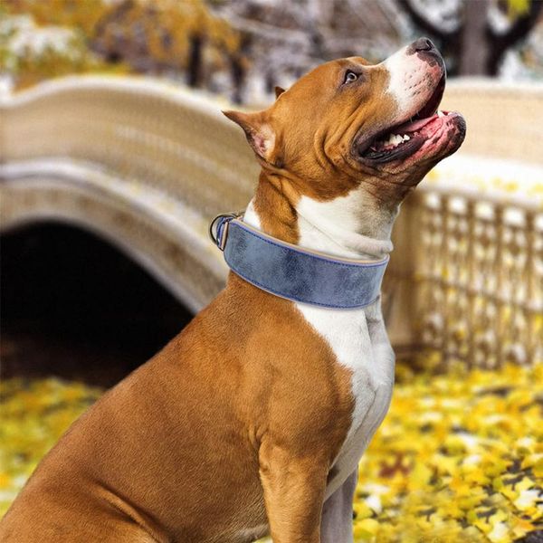 wide leather dog collar large soft padded pet dog collars perro for medium large dogs pitbull german shepherd bulldo wmtbck
wide leather dog collar large soft padded pet dog collars perro for medium large dogs pitbull german shepherd bulldo wmtbck